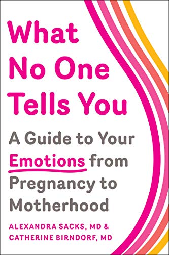 What No One Tells You: A Guide to Your Emotions from Pregnancy to Motherhood - Epub + Converted Pdf